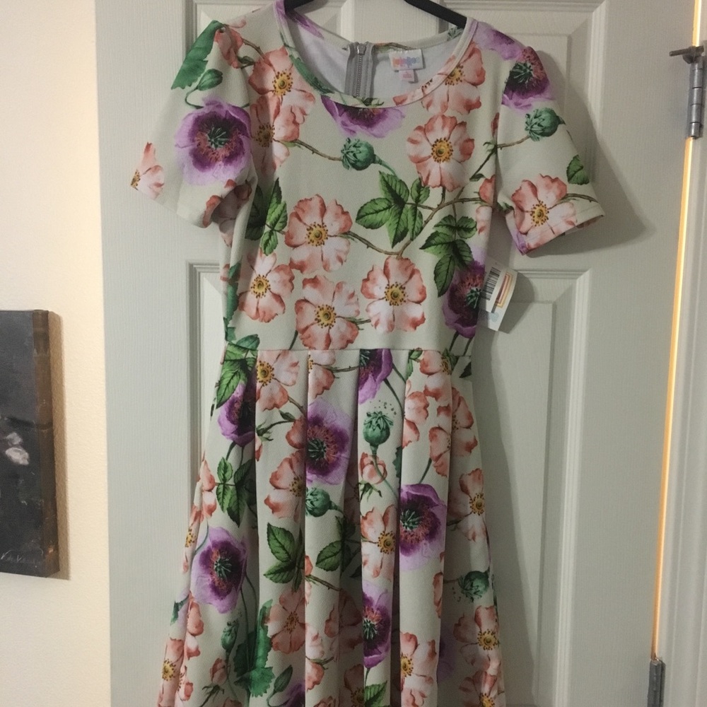 Lularoe Amelia
